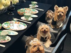 -悦庭六号餐厅(麦岛店)