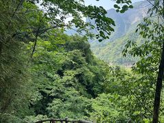 -鹿院坪生态旅游景区