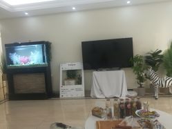 -VE专注问题肌·赛诺龙&科学美肤中心