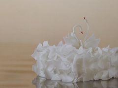 -BLACKSWAN黑天鹅(环球店)