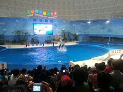 android_upload_pic-泉城欧乐堡海洋极地世界