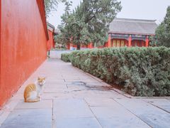 -洛阳白马寺