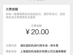 -上海浦东国际机场-T2航站楼