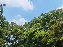 -金鸡湖桃花岛