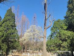 -国家植物园南园