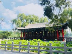 -济南大明湖景区