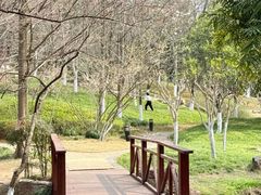 -月湖风景区