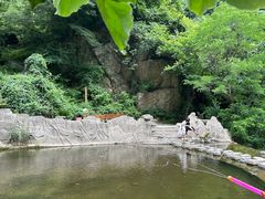-西安祥峪森林公园