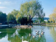 -常州花鸟园酒店(西太湖品牌优选店)