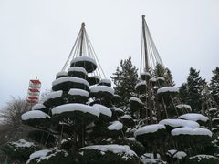 -北海道厅旧本厅舍(旧本庁舎)