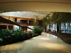 -北京望京凯悦酒店The Lounge大堂酒廊