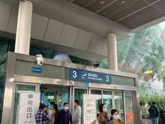 -合肥新桥国际机场-航站楼