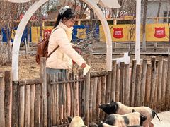 -水上乐园·欢乐世界