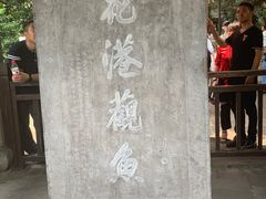 -西湖外事游船(花港观鱼码头)