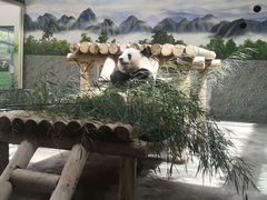 -西安秦岭野生动物园