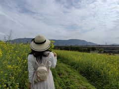 -光明小镇欢乐田园
