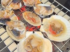 -震海贝烤贝·民俗特色店(延吉总店)