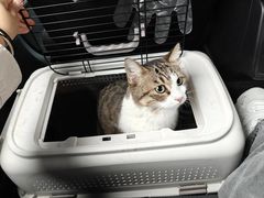 -瑞派蒂凯宠物医院·免疫点·宠保定点