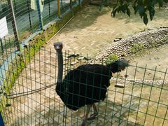 -武汉紫薇都市田园