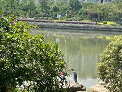 -光明港公园