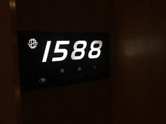 -成都明宇丽雅饭店
