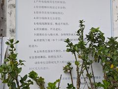 -圆陀角旅游度假区-玉龙寺