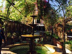 -The Grounds of Alexandria
