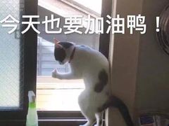 -甜津美