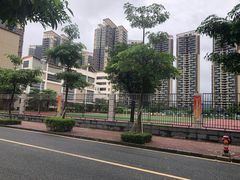-深圳市坪山区中山小学