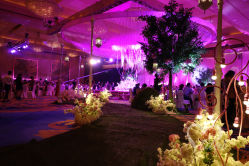 -IDOI婚礼策划·IDOIWEDDING