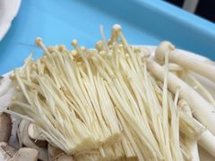 -花苑美食横琴生蚝火锅(拱北粤华路店)