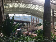 -杭州开元森泊度假乐园