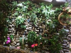 -一桶江山餐厅(松北店)