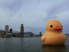 -极尚大瀛喜日本料理(铜锣湾店)