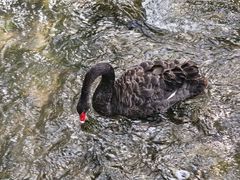 -水磨沟公园