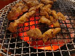 -大阪烧肉BAKA一代(十亩地店)