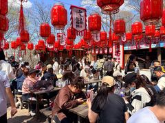 -帽儿山风景区