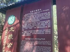 -北陵公园