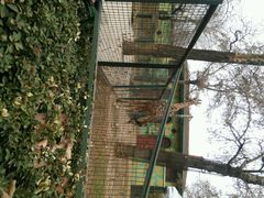 android_upload_pic-北京动物园