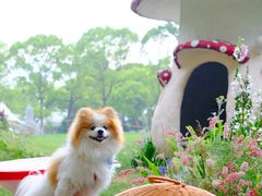 -上海鲜花港