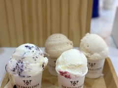 薄荷巧克力冰激凌-EIS ENGELCHEN艾斯辛尔
