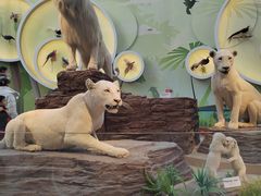 -陕西自然博物馆