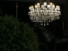 -苏浙总会(国金中心店)