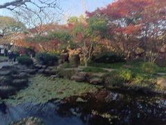 -秋霞圃