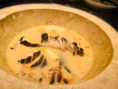鮰鱼-云海肴云南菜·蒸汽石锅鱼(青岛万象城店)