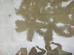 -海沧湾公园