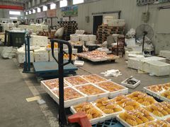 -东方鼎信农副产品交易中心