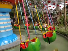 -南宫五洲植物乐园