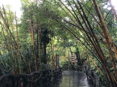 -呀诺达热带雨林