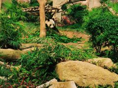 -石排湾郊野公园